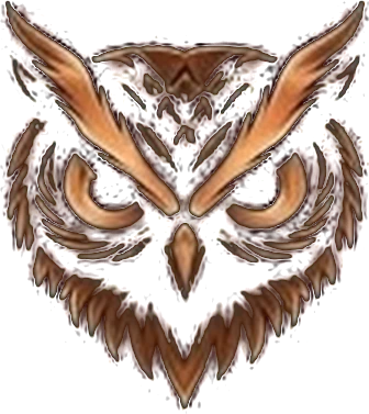 Copper Talon owl icon